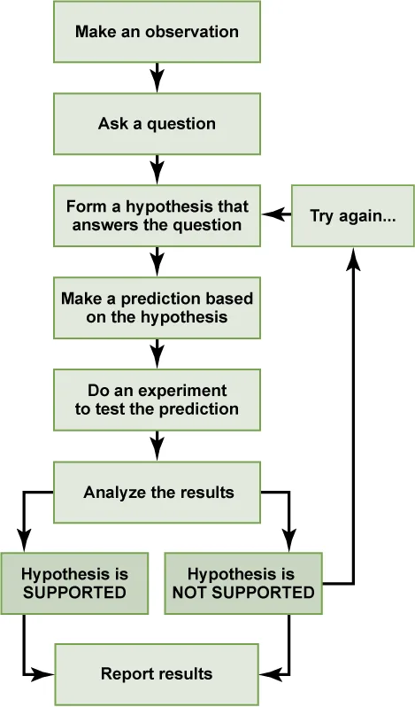 A flow chart of the scientific method, from making an observation to reporting results, with a loop back to a new hypothesis when the current one is not supported.