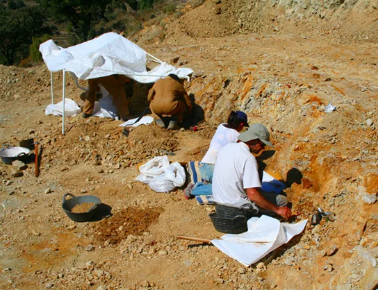 Two researchers kneel at an outdoor excavation site under a canvas shade, carefully uncovering fossils embedded in the reddish dirt.