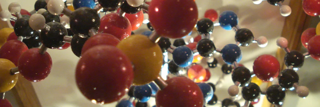 A close-up photograph of a physical ball-and-stick molecular model: dozens of black, white, blue, red, and yellow spheres of different sizes joined by short silver rods into a branched three-dimensional structure.