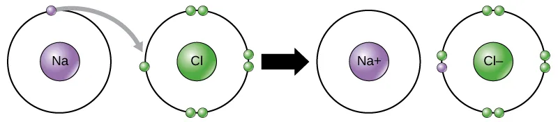 Before-and-after diagram of electron transfer between a sodium and a chlorine atom. Before: sodium has one electron in its outer shell; chlorine has seven, six paired and one unpaired. After: sodium's electron has transferred to chlorine, leaving sodium a cation with an empty outer shell and chlorine an anion with a full eight-electron outer shell.