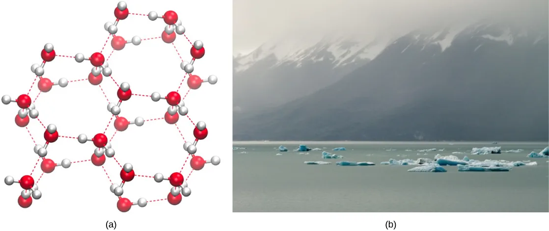 (a) A computer-rendered lattice of water molecules arranged in linked hexagonal rings, held apart by hydrogen bonds with open space inside each ring. (b) A photograph of flat chunks of ice floating on a gray ocean in front of a snow-dusted mountain range.