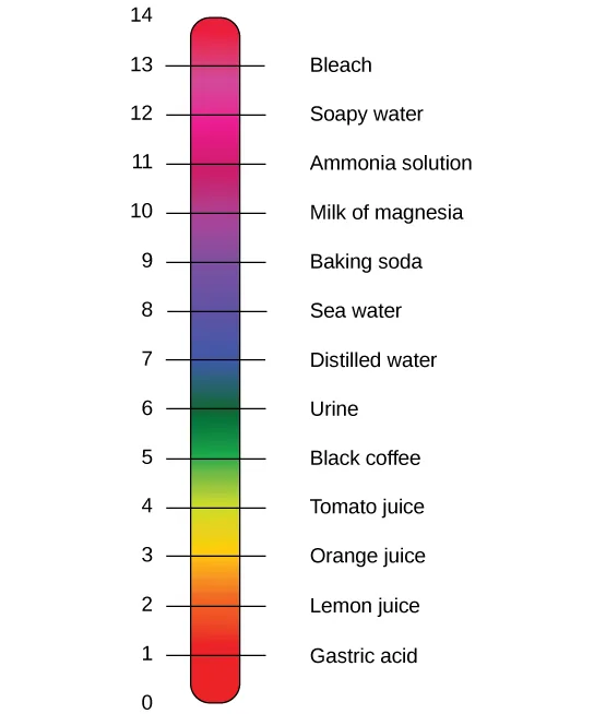 A vertical pH scale from 0 to 14, colored like a rainbow gradient from red at the acidic end to violet at the basic end, with common substances labeled next to their approximate pH.