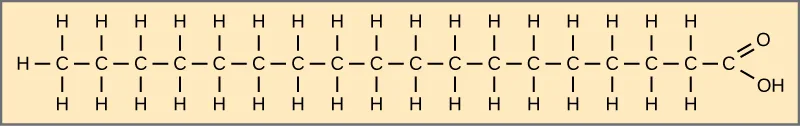 The structural formula of stearic acid: a straight hydrocarbon chain of seventeen CH2 units ending in a carboxyl (COOH) group, with every carbon-carbon bond in the chain a single bond.