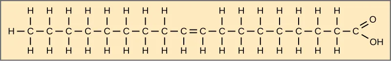 The structural formula of oleic acid: a hydrocarbon chain of seventeen CH2 units ending in a carboxyl (COOH) group, with a single double bond between the eighth and ninth carbons.