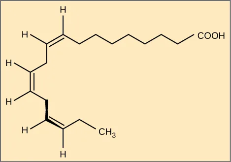 The structural formula of alpha-linolenic acid, an omega-3 fatty acid: a hydrocarbon chain with three double bonds that together give the molecule a hooked, curved shape.