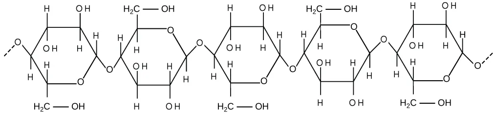 A diagram of a cellulose chain: five ring-shaped glucose subunits, each drawn with its carbon, hydrogen, and oxygen atoms, are linked end to end, with dashed lines at both ends indicating that many more glucose units continue the chain.