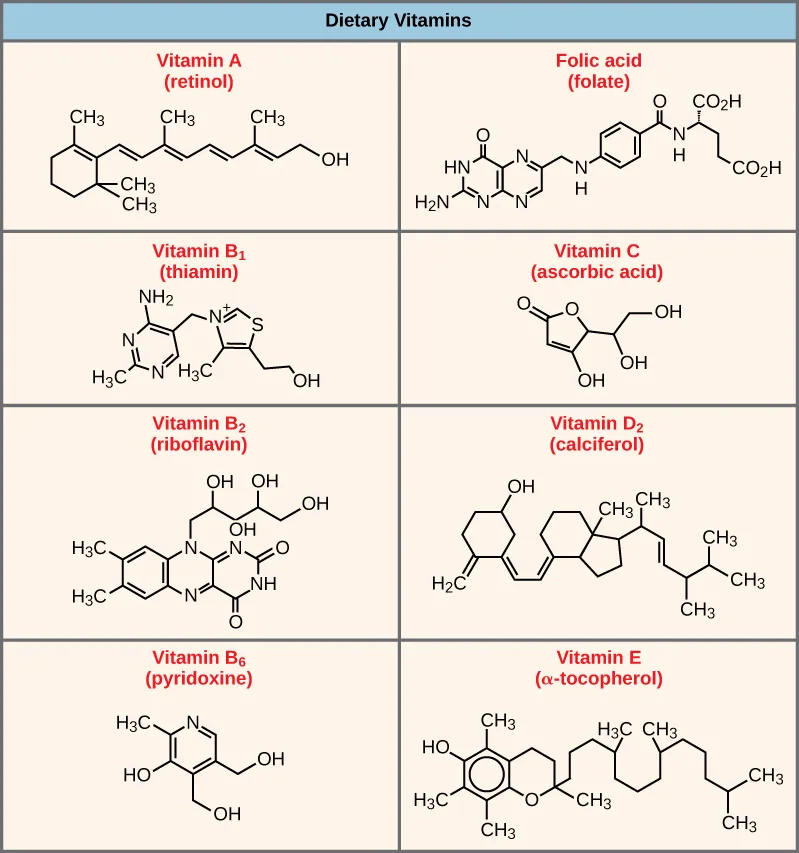 A labeled grid of the molecular structures of eight dietary vitamins and their coenzyme forms: Vitamin A (retinol), folic acid (folate), Vitamin B1 (thiamin), Vitamin C (ascorbic acid), Vitamin B2 (riboflavin), Vitamin D2 (calciferol), Vitamin B6 (pyridoxine), and Vitamin E (α-tocopherol).