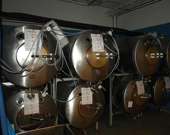 A row of large stainless-steel fermentation tanks in a winery, each fitted with valves, gauges, and hoses, with a second row of tanks visible below them.