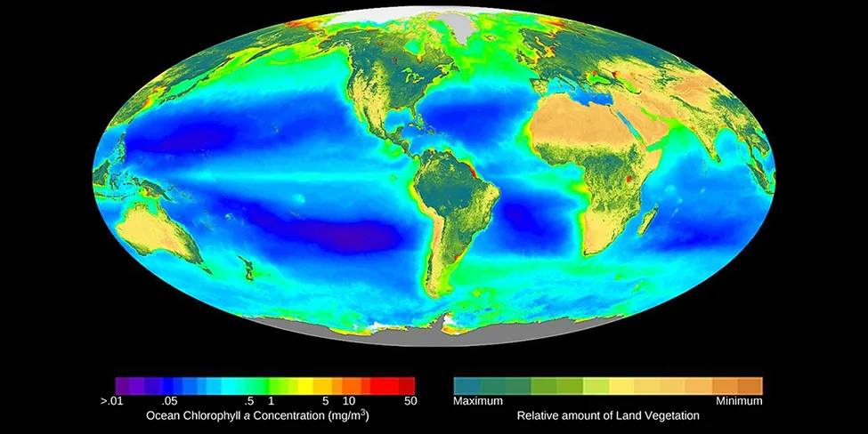 An oval-projection world map on a black background: oceans are shaded blue to purple with bands of green, yellow, and red marking higher chlorophyll concentrations near coastlines and equatorial upwelling zones, while land is shaded green to tan by vegetation density, with two color-scale legends below the map.