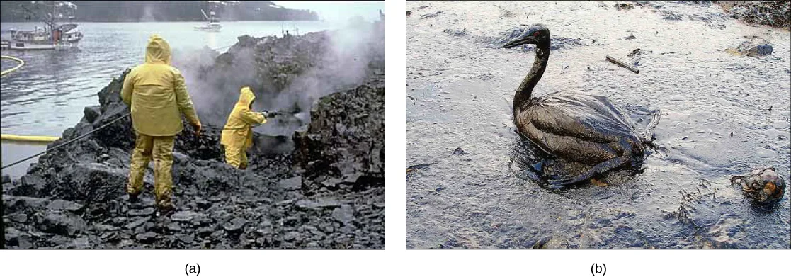 Two side-by-side photos: (a) two workers in yellow raingear hose dark, oil-soaked rocks along a shoreline, with a boat on the water behind them and steam or smoke rising off the rocks; (b) an oil-drenched bird stands in a pool of oily, mud-colored water.