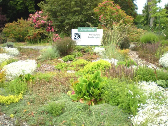 A landscaped college-campus garden bed of mixed flowering shrubs, ornamental grasses, and groundcover around a sign reading Arboretum, Horticulture, Landscaping.