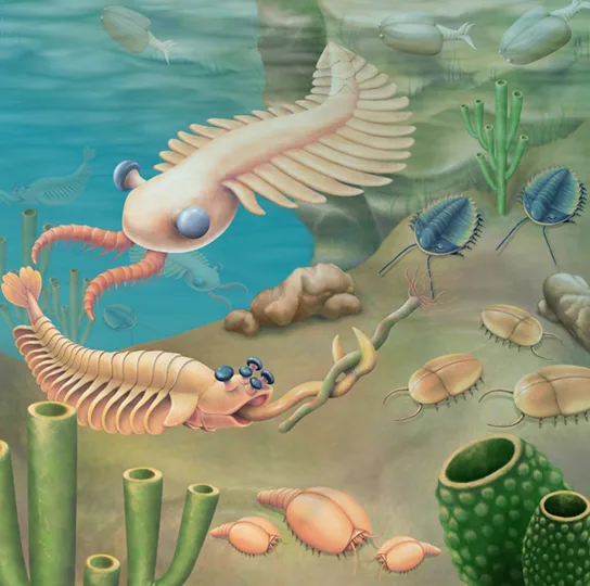 A full-color illustrated reconstruction of a Cambrian seafloor: a large winged, eye-stalked predator swims at upper left above segmented, crab-like arthropods walking on the sandy bottom among green tube- and cone-shaped sponges and worms.