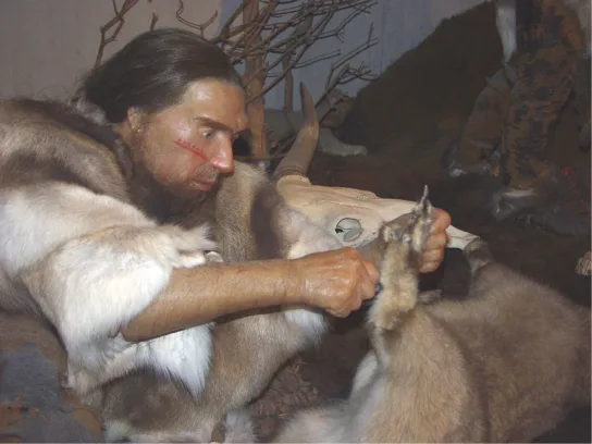 A lifelike museum diorama figure of a Neanderthal man wearing animal fur, kneeling and using a stone tool to cut into a hide draped over an animal skull with horns.