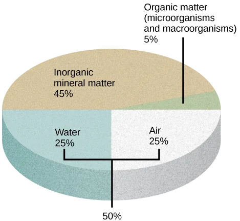 A pie chart divided into four wedges: inorganic mineral matter, the largest wedge, at 45 percent; water and air as two equal adjacent wedges, each 25 percent and bracketed together with a shared 50 percent label; and organic matter (microorganisms and macroorganisms), a thin sliver, at 5 percent.
