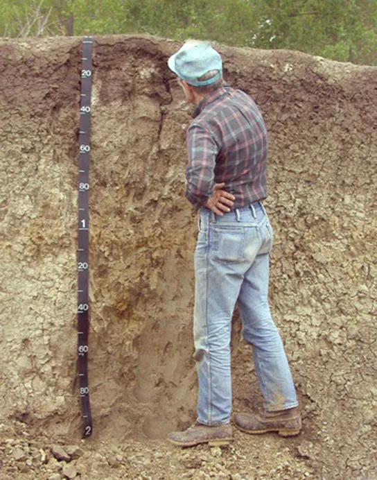 Photo shows a man standing next to a wall of soil in a pit that is as deep as he is tall, a numbered depth stick propped against the wall beside him.