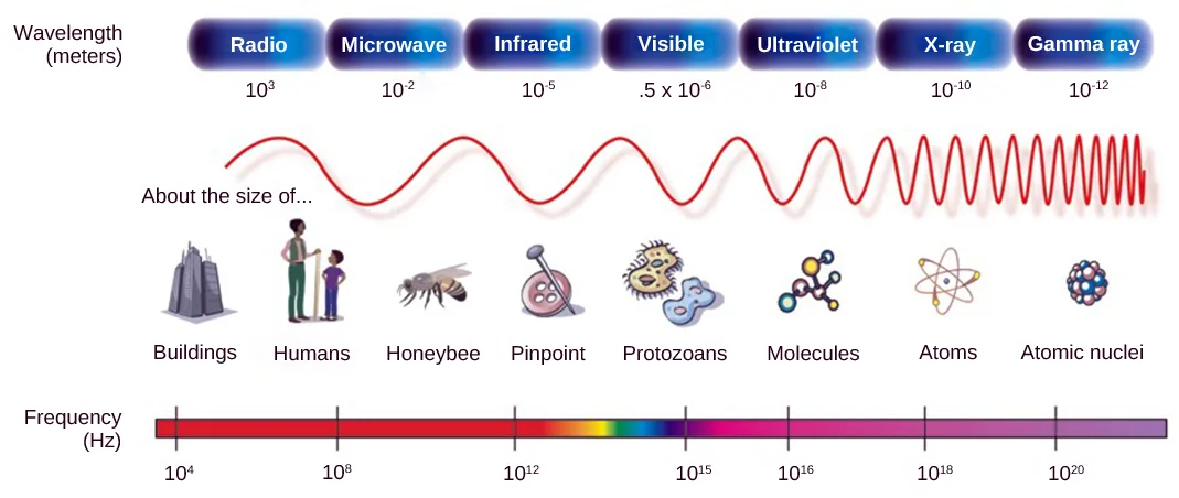 A horizontal diagram of the electromagnetic spectrum with seven wavelength bands labeled Radio, Microwave, Infrared, Visible, Ultraviolet, X-ray, and Gamma ray above a red sine wave whose coils tighten from left to right, small icons below each band showing an object near that wavelength's size, and a frequency scale along the bottom.