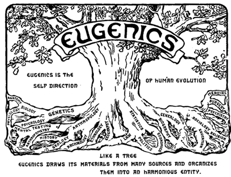 Black-and-white line drawing of a large oak tree labeled Eugenics across its trunk, with the words Eugenics is the self direction on one side and of human evolution on the other; its roots are labeled with fields of study such as biology, genetics, psychology, anthropology, history, statistics, medicine, and sociology, and text beneath the tree reads Like a tree, eugenics draws its materials from many sources and organizes them into an harmonious entity.