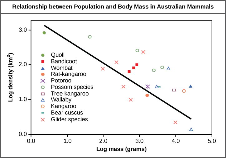 A scatter graph plots log population density against log body mass for eleven groups of Australian mammals, with a straight trend line sloping downward from upper left to lower right.