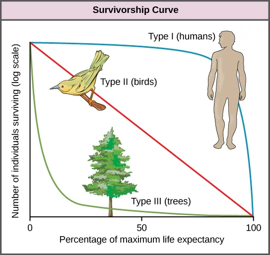 A line graph titled Survivorship Curve plots three differently shaped curves on log-scaled axes, each labeled with its type and a representative organism.