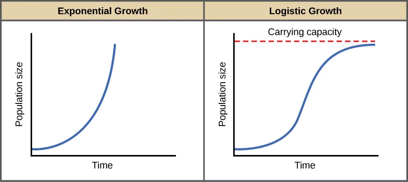 Both graphs (a) and (b) plot population size versus time. In graph (a), exponential growth results in a curve that gets increasingly steep, resulting in a J-shape. In graph (b), logistic growth results in a curve that gets increasingly steep, then levels off when the carrying capacity is reached, resulting in an S-shape.