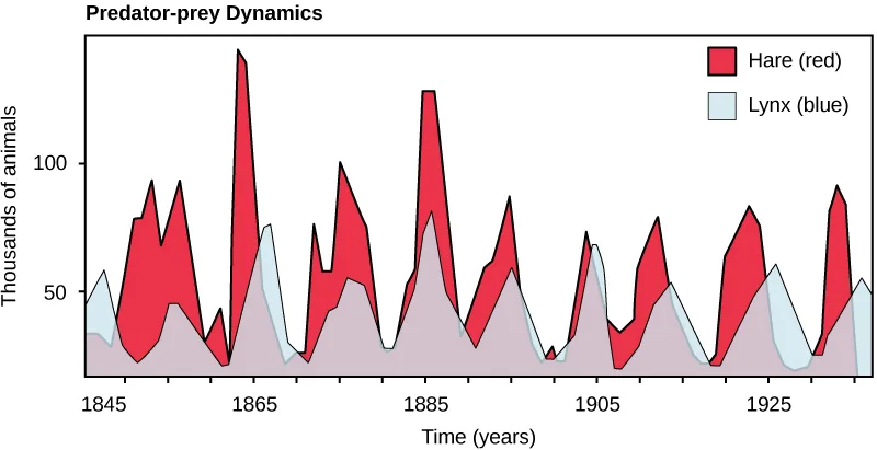A line chart titled 'Predator-prey Dynamics' plotting thousands of animals against time in years from 1845 to about 1935, with a red-shaded curve for hare and a pale blue-shaded curve for lynx. The hare curve repeatedly climbs from a low trough to a sharp peak and drops again; the lynx curve rises and falls on the same rhythm, a little behind the hare curve and staying lower throughout.