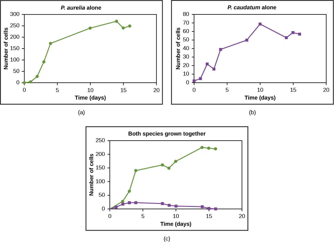 Three line graphs, each plotting number of cells against time in days from 0 to 20. Graphs (a), P. aurelia alone, and (b), P. caudatum alone, both climb to a plateau when each species is grown by itself; graph (c), the two grown together, shows P. aurelia still climbing to a high plateau while P. caudatum barely rises before dropping toward zero.