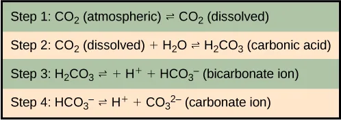 A four-row table, alternating green and tan backgrounds, lists the stepwise equilibrium reactions of carbon dioxide dissolving in water: Step 1, CO₂ (atmospheric) ⇌ CO₂ (dissolved); Step 2, CO₂ (dissolved) + H₂O ⇌ H₂CO₃ (carbonic acid); Step 3, H₂CO₃ ⇌ H⁺ + HCO₃⁻ (bicarbonate ion); Step 4, HCO₃⁻ ⇌ H⁺ + CO₃²⁻ (carbonate ion).