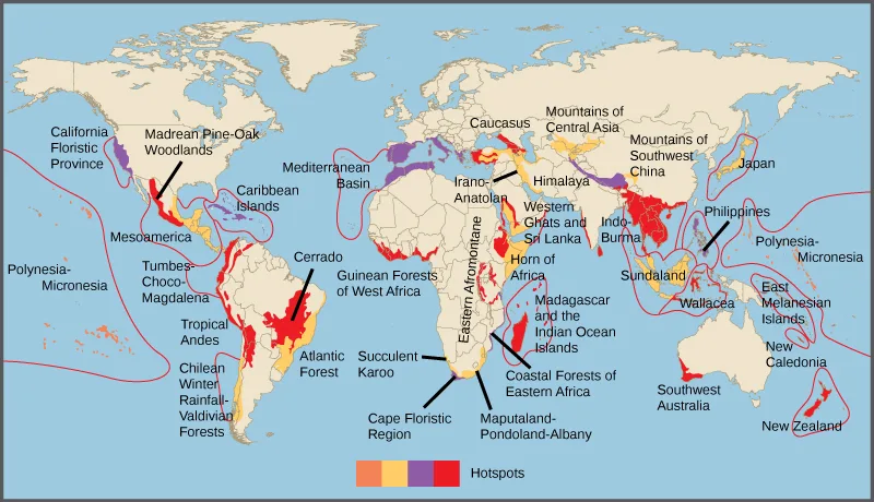 A world map outlines 34 biodiversity hotspots with red boundary lines, clustered along coastlines, islands, and mountain ranges on every continent except Antarctica. A legend below the map, titled "Hotspots," shows four color swatches shading from yellow through orange and purple to red, the colors used to shade the outlined regions on the map.
