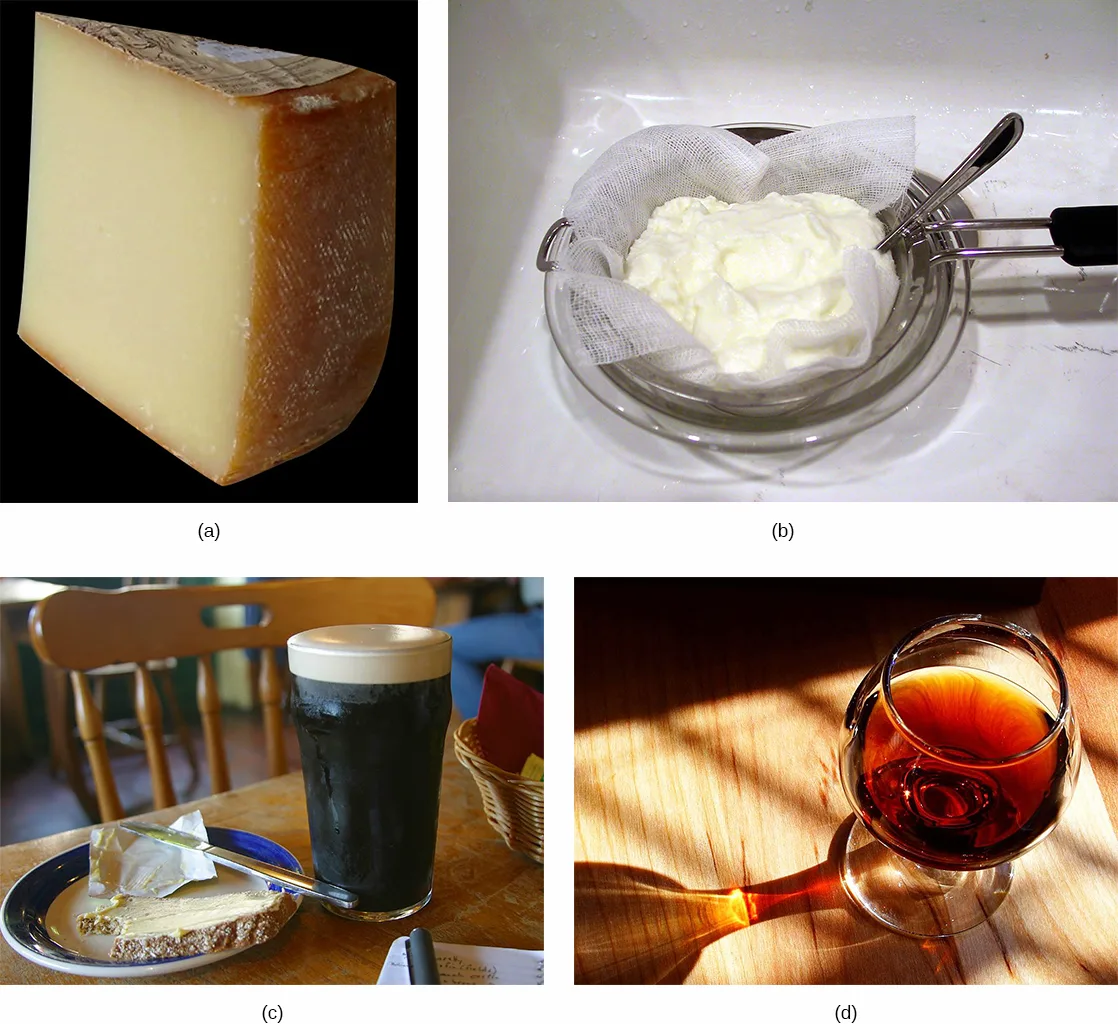 A four-panel photo collage: (a) a wedge of pale, rind-crusted cheese photographed against a black background; (b) fresh yogurt draped in cheesecloth inside a metal strainer; (c) a glass of dark stout beer beside a slice of buttered bread on a plate; (d) a glass of amber wine lit from behind by sunlight on a wooden table.