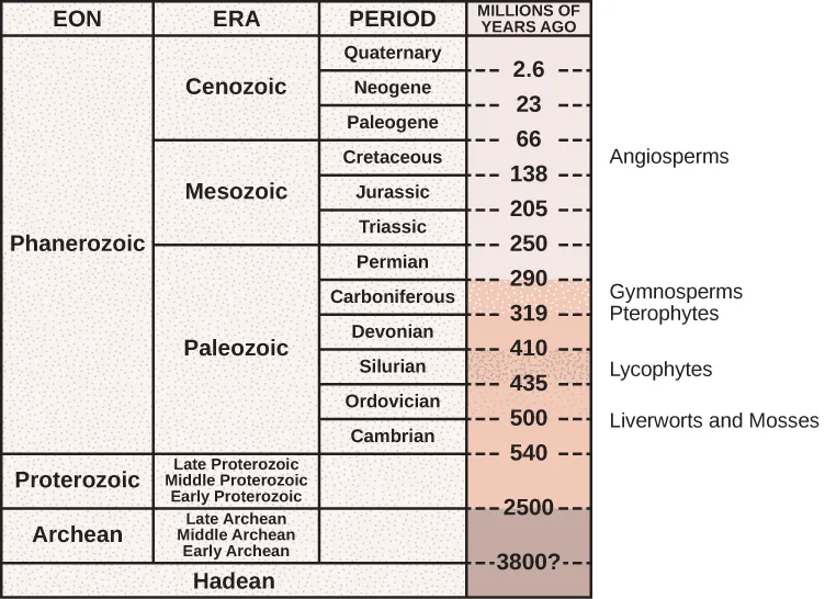 A geologic time table with four columns — eon, era, period, and millions of years ago — running from the Hadean at the bottom to the Quaternary at top, with five plant-group labels positioned beside the periods in which each group is thought to have evolved.
