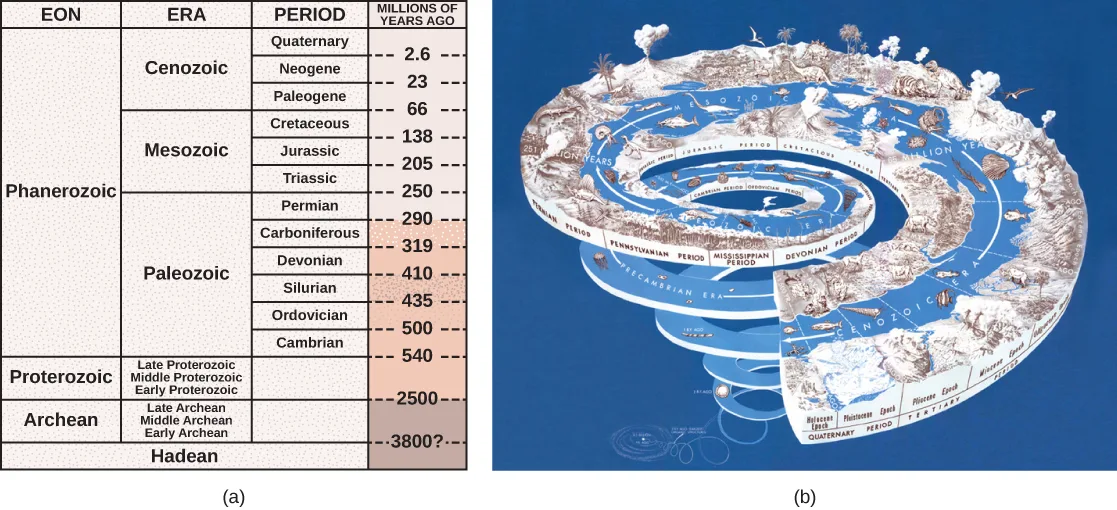 Two-panel diagram. Panel (a) is a table listing geologic eons, eras, and periods against millions of years ago, from the Hadean at the bottom to the Quaternary at the top. Panel (b) is an illustrated spiral timeline, widening and rising from the Precambrian at its base to modern times at its top, with prehistoric plants and animals drawn along the ascending spiral.