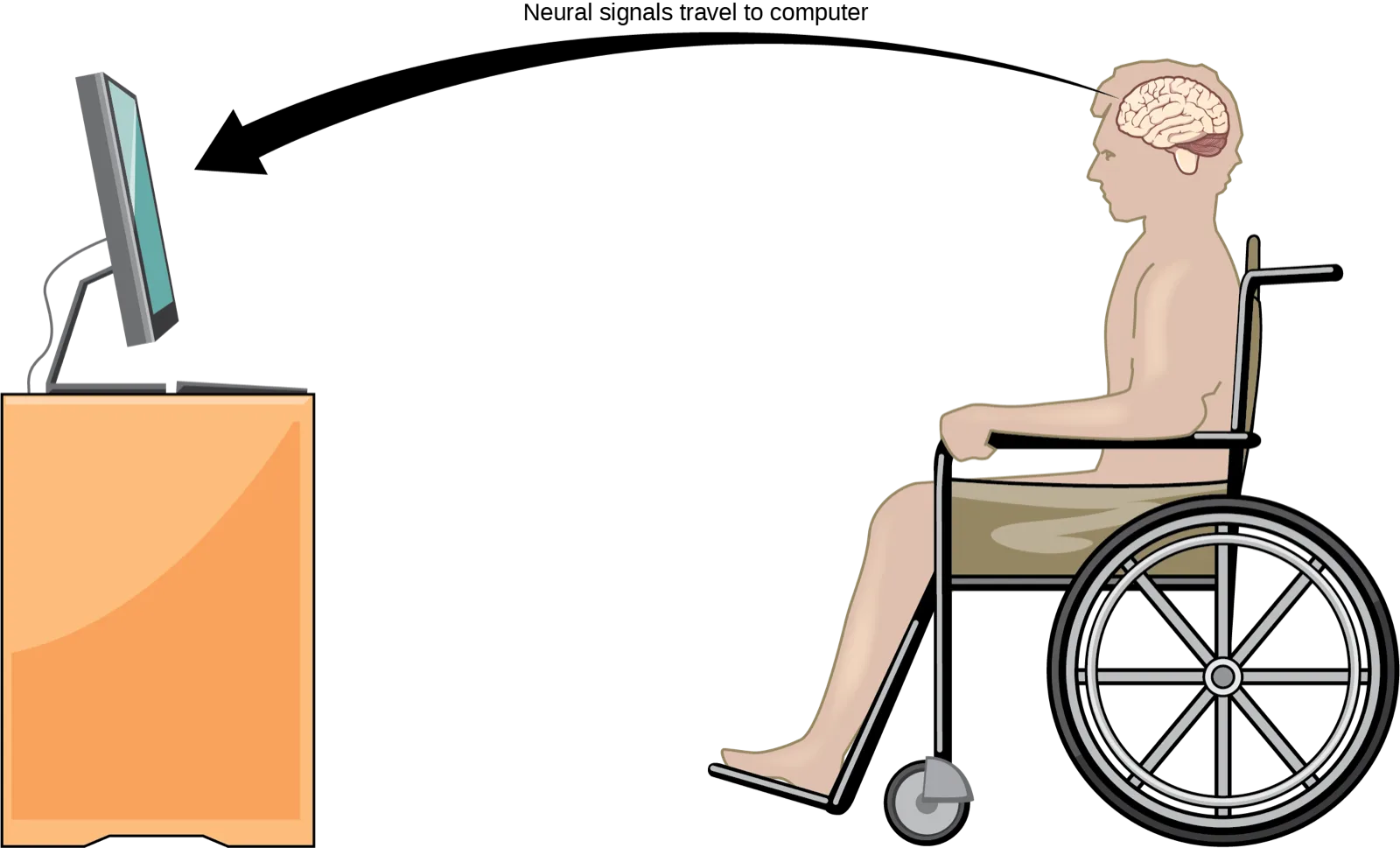 A line illustration of a person seated in a wheelchair, a curved arrow running from their head to a desktop computer screen, labeled 'Neural signals travel to computer.'