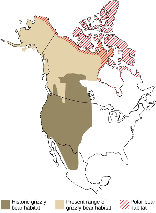 A map of North America shaded with three overlapping regions: a dark brown area for historic grizzly bear range, a lighter tan area for the present range of grizzly bears, and a red diagonally hatched area for polar bear range.