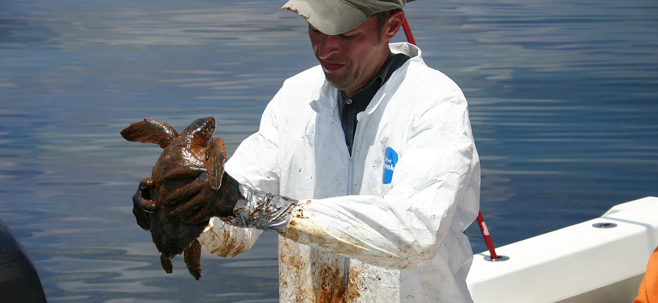 A person in a white protective coverall and a cap, standing beside a white boat hull over open water, holds a small sea turtle in oil-smeared gloves; the turtle's shell, head, and flippers are coated in thick brown oil, and streaks of the same oil mark the coverall.