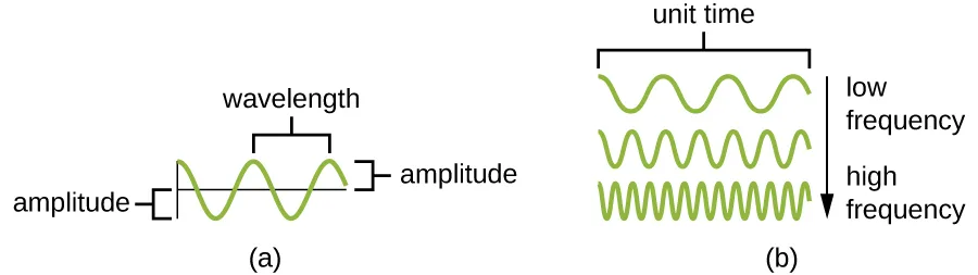 Two labeled wave diagrams in green. In diagram (a), a single wave shows wavelength marked as the distance between two adjacent peaks and amplitude marked as the height of a peak (or the depth of a trough) from the center line. In diagram (b), three waves are stacked and labeled by how many peaks occur over the same unit of time: a widely spaced wave labeled low frequency, a closely spaced wave labeled high frequency, and a wave of intermediate spacing between them.