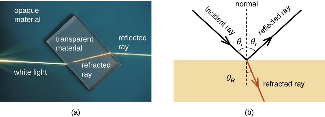 Two panels. In (a), a photograph shows a white light beam entering a wedge of transparent material resting on an opaque surface; part of the light reflects off the near face of the wedge while the rest bends and continues through it as a refracted ray. In (b), a diagram shows an incident ray striking a boundary at an angle, splitting into a reflected ray that leaves at an equal angle on the same side of a dashed normal line, and a refracted ray that continues at a different angle into the medium below the boundary.