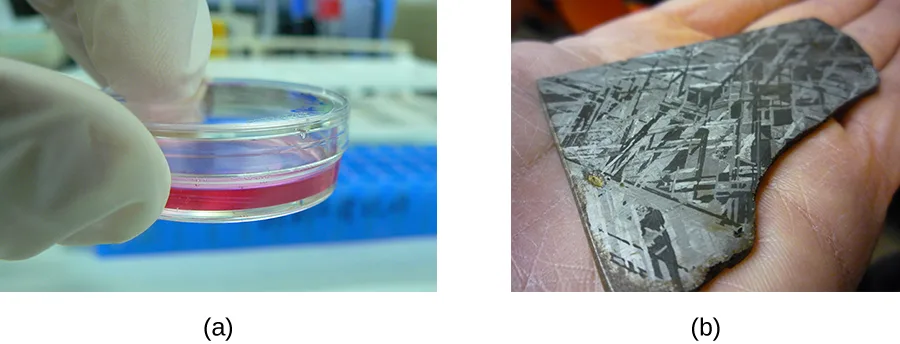 Two photographs. In (a), a gloved hand holds a clear plastic Petri dish containing a reddish liquid, with lab equipment visible out of focus behind it. In (b), a hand holds a flat, broken slice of metal whose dark surface is crossed by a pattern of light, shiny, crystal-like lines and cracks.