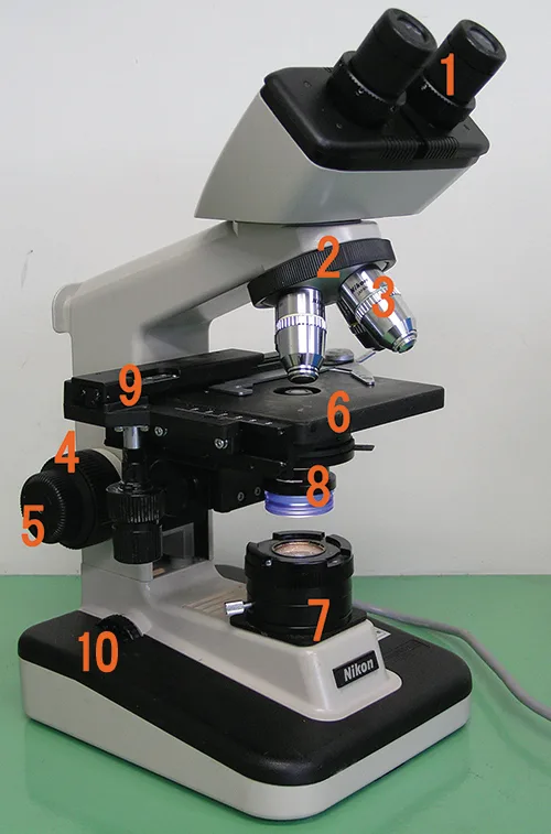 A photograph of a binocular microscope, matching the labeled photo earlier in this section, with ten numbered call-outs and no text labels. The numbers run from the paired tubes at the top of the instrument, through the components mounted beneath them and the flat platform at the middle, to the knobs on the arm and the parts at the base.