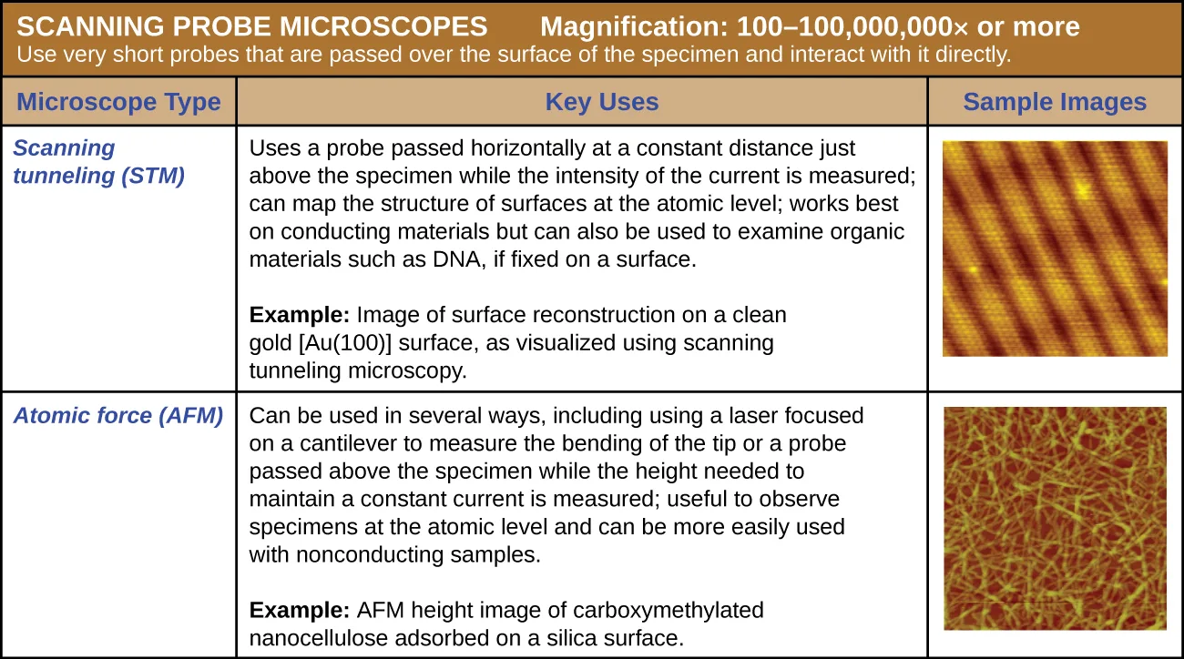 Sample micrographs from the scanning-probe summary table: a golden-orange STM image of a repeating striped pattern with a few bright bumps, and a golden-green AFM image of a dense tangle of long, thin strands.