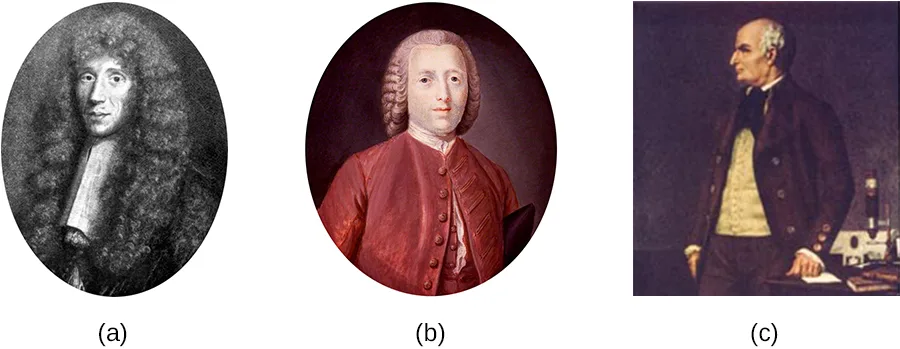Three labeled portraits, the first two in oval frames and the third rectangular. (a) A black-and-white engraving of a man with long curled hair wearing a lace collar. (b) A painted portrait of a young man wearing a powdered wig and a red coat. (c) A painted portrait of an older man in dark clothing, standing beside a table holding books and a microscope.