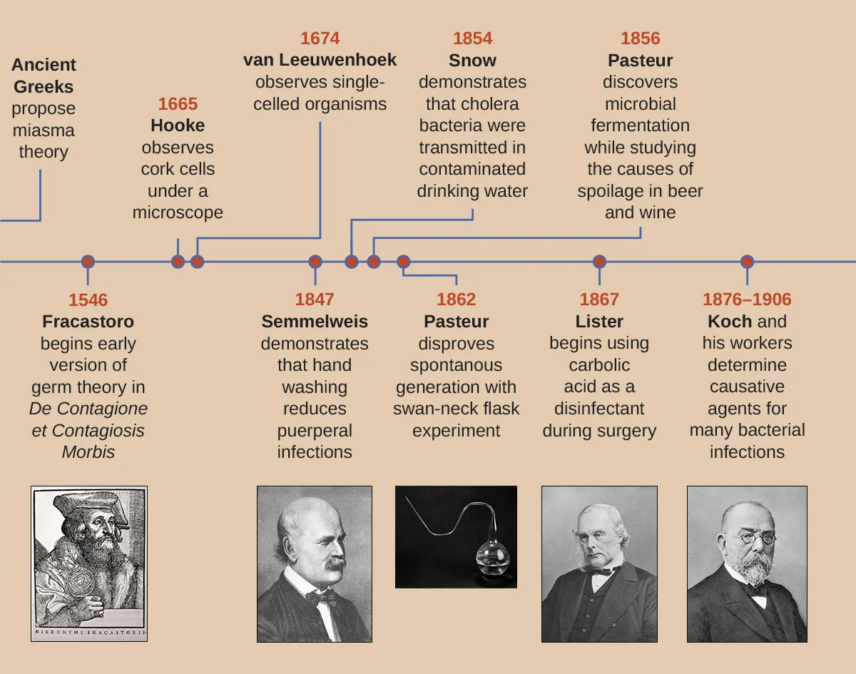 A horizontal timeline of milestones from the ancient Greeks' miasma theory through 1876 to 1906, each entry labeled with a date, a scientist's name, and a short description; below five of the entries — Fracastoro, Semmelweis, Pasteur's swan-neck flask, Lister, and Koch — a small drawing or photograph illustrates the scientist or apparatus.