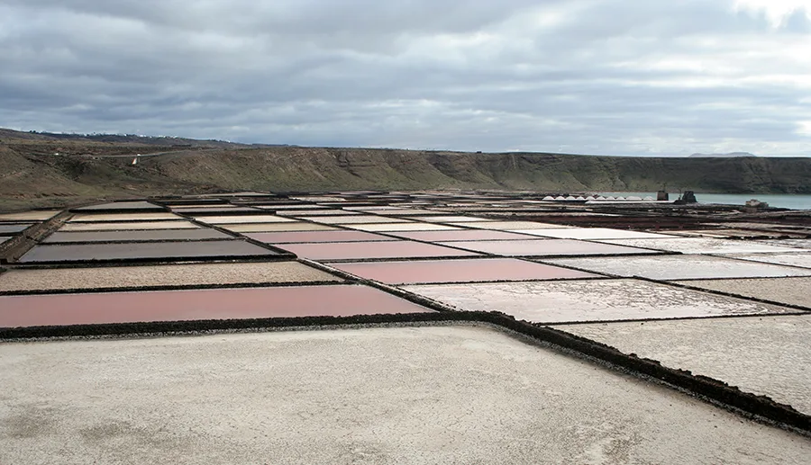 A wide photograph of a salt-pond landscape divided into many rectangular evaporation ponds, some pale white and others pink to purple, beneath a cloudy sky and low brown hills.