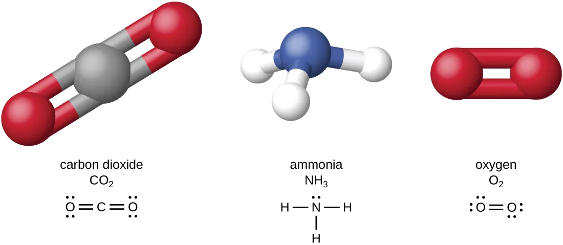 Three small molecular models built from colored spheres. Carbon dioxide has a gray carbon sphere double-bonded to a red oxygen sphere on each side. Ammonia has a blue nitrogen sphere bonded to three white hydrogen spheres. Oxygen has two red spheres double-bonded to each other.