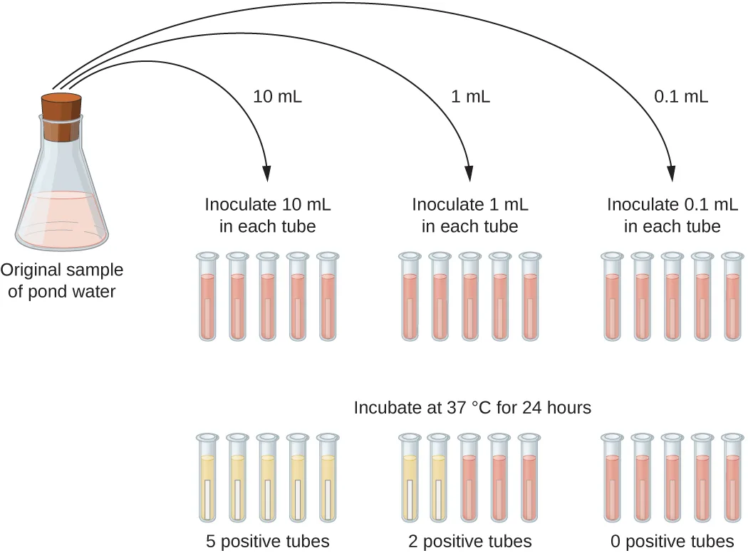 A diagram of the most-probable-number method: three sets of five lactose broth tubes, inoculated with 10 mL, 1 mL, and 0.1 mL of pond water, incubated, and read for a red-to-yellow color change indicating gas and fermentation, with 5 of 5, 2 of 5, and 0 of 5 tubes positive.