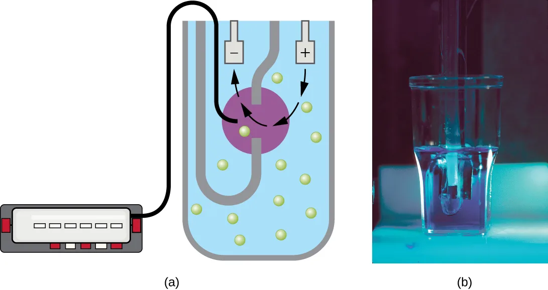 (a) A diagram of a Coulter counter: a beaker of fluid holds a U-shaped glass tube with a small aperture near its base; green dots representing cells are drawn moving from the beaker through the aperture into the tube, past a purple region marking the aperture, and up to electrode leads marked − and +, wired to an electronic counter box. (b) A photograph of a small glass Coulter counter aperture tube standing in a beaker.