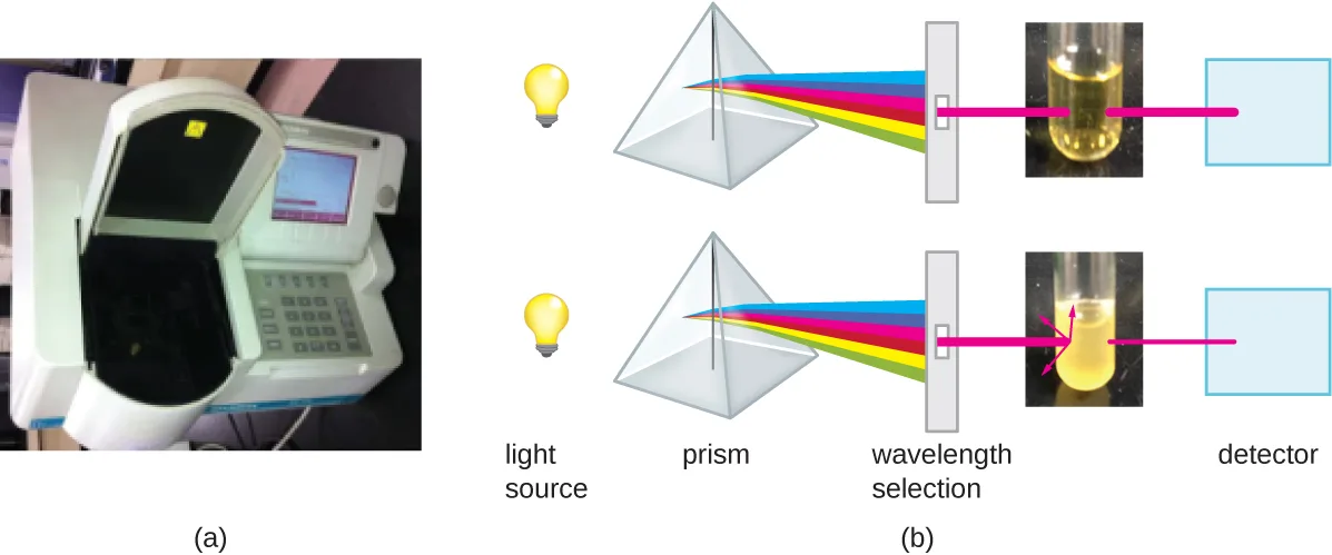 (a) A photograph of a benchtop spectrophotometer with a keypad, screen, and sample chamber. (b) A diagram of light passing from a source through a prism into a wavelength selector, then through a control tube of clear broth to a detector at full strength, and through a turbid sample tube to a detector at reduced strength, with the beam scattering inside the turbid tube.