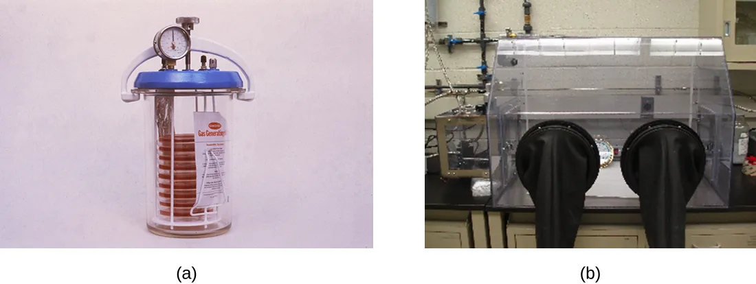 (a) A photograph of a cylindrical glass anaerobic jar with a blue lid fitted with a pressure gauge, holding a stack of Petri dishes and a gas-generating packet inside. (b) A photograph of a clear plastic anaerobic chamber (glovebox) in a laboratory, with two black rubber glove sleeves built into its front panel and gas lines connected at the back.