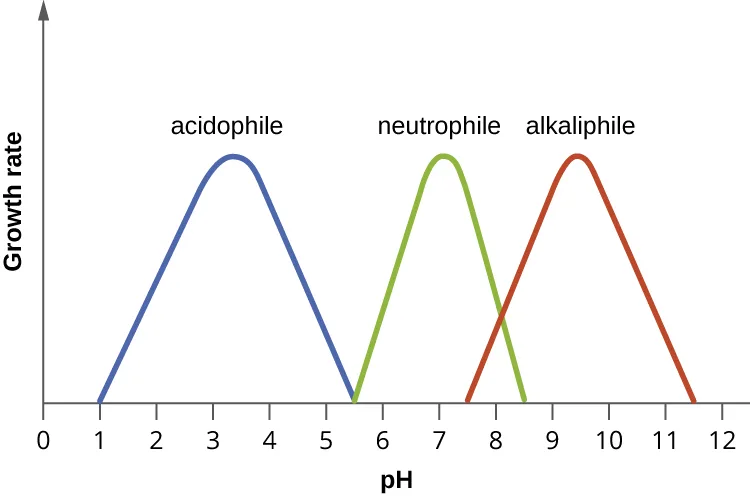 A line graph with pH from 0 to 12 on the x-axis and growth rate (no numeric scale) on the y-axis. Three separate bell-shaped curves are plotted, none overlapping in height at their peaks: a blue curve labeled acidophile rises from pH 1, peaks around pH 3–4, and falls back to zero by about pH 5.5; a green curve labeled neutrophile rises from about pH 5.5, peaks at pH 7, and falls back to zero by about pH 8.5; and a red curve labeled alkaliphile rises from about pH 7.5, peaks around pH 9–10, and falls back to zero by about pH 11.5.