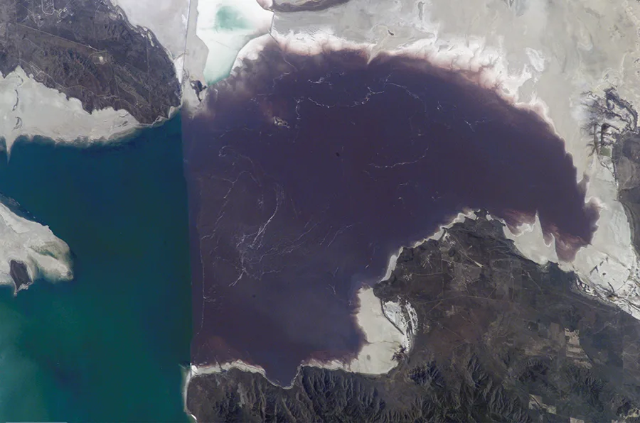 A satellite photo of a lake split by a straight causeway into a teal-green western half and a deep purple eastern half, both rimmed by white salt flats and tan and brown land.