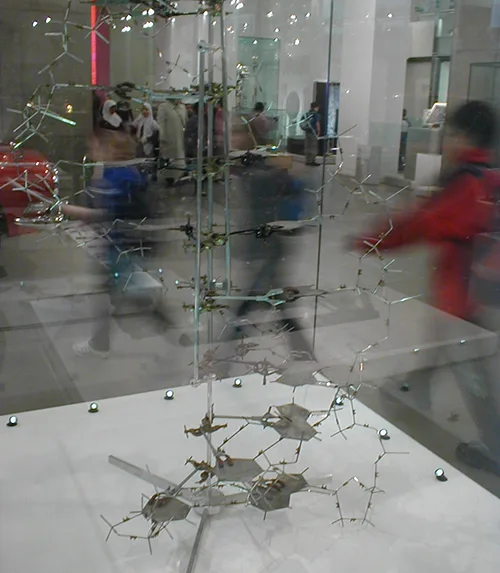 A photograph of a wire-frame ball-and-stick model of the DNA double helix on display in a museum case, with blurred visitors walking past in the background.